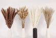 Dried Pampas Grass Decor, 100 Stems Pampas Grass Contains Bunny Tails Dried Flowers, Reed Grass Bouquet for Wedding Boho