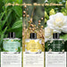 6 Pack Reed Diffuser Set, 10.14 Oz Reed Diffusers for Home with 30 Sticks