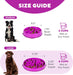 Fun Feeder Slo Bowl – Large 4‑Cup Capacity, Slow Feeding, Medium to Large Dogs, Non‑Slip, Purple, Flower Pattern