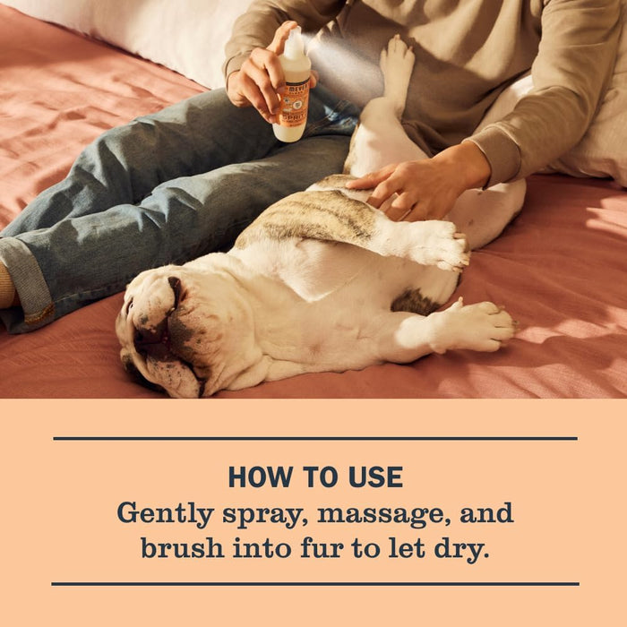 Clean Day Dog Deodorizing Spray, White Peach Scent, 8oz