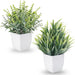 2 Pack Small Fake Plants, Mini Artificial Greenery Potted Faux Plants for Indoor Home Room Office Kitchen Farmhouse Bath