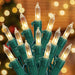 2 Pack Warm White Christmas Lights, 50-Count Green Wire