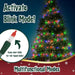 christmas lights for tree - 35 colored warm xmas lights | 6.6 ft long