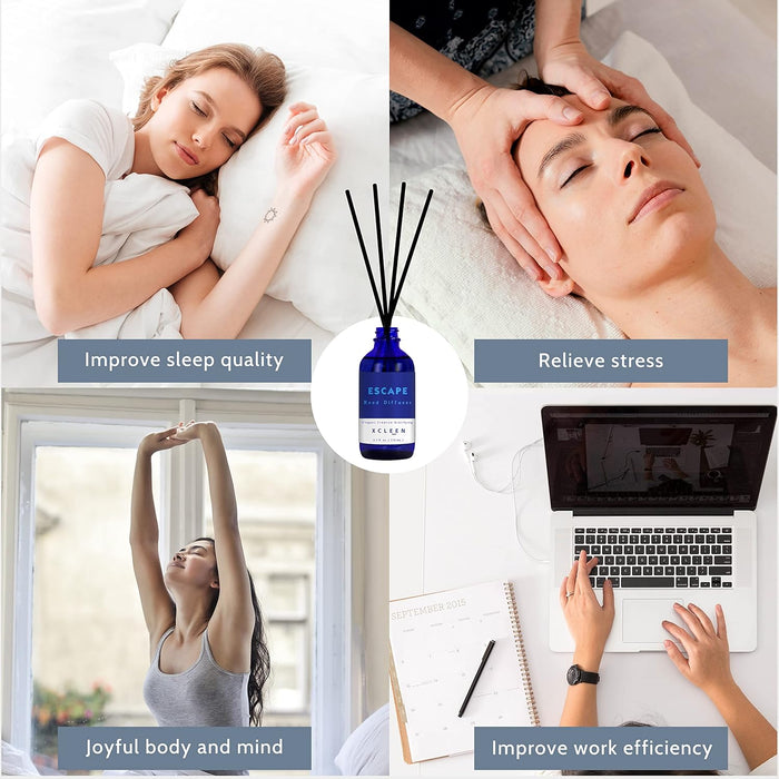 Reed Diffusers Set, 3.7 Oz Scent Diffuser, 6 Reed Diffuser Sticks, Home Fragrance Hyacinth, Peony & Citrus, Aromatherapy Oil Diffuser Reeds, More Masculine Scent, Bathroom & Office Decor 110ml