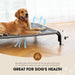 Outdoor Elevated Dog Bed for Large Sized Dogs, No-Tool Assembly.