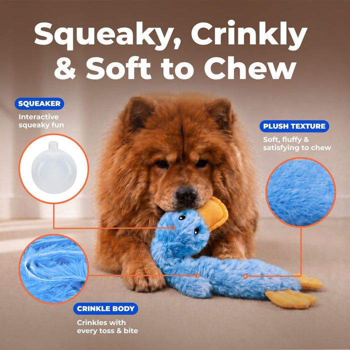 Interactive Squeaky Dog Toy - Crinkle Duck, Blue