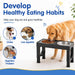 Elevated Dog Bowls Large Breed Raised Dogs Bowl Stand Large/Medium Sized Dog Stainless Steel Food Water Bowl Stands 5 He