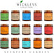 Wickless Pumpkin Spice Scented Candles for Candle Warmer Lamp, Many Scents to Choose, 100% Non-Toxic Soy Wax, Candle Mel