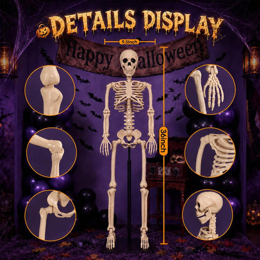 2 Pack 36" Halloween Skeleton Decorations,Human Bones for Halloween Party with Movable Joints,for Haunted Houses, Front Lawn, Graveyard Props