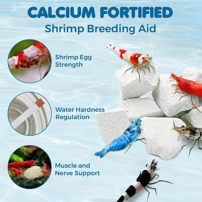 Shrimp Rocks, for Crayfish, Hermit Crab, Snails, Crystal Red, Amano, and Ghost Shrimps (60 Grams)