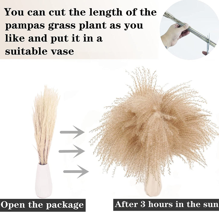 Dried Pampas Grass Decor, 100 Stems Pampas Grass Contains Bunny Tails Dried Flowers, Reed Grass Bouquet for Wedding Boho