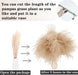 Dried Pampas Grass Decor, 100 Stems Pampas Grass Contains Bunny Tails Dried Flowers, Reed Grass Bouquet for Wedding Boho