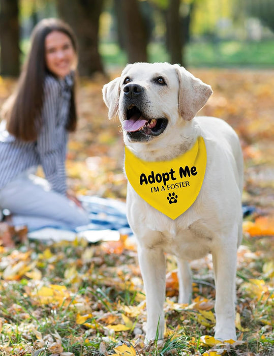 Adopt Me Foster Dog Bandana Scarf, Funny Adopt Me Bandanas for Dogs