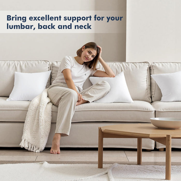 18x18 Throw Pillows Inserts 2 Pack, Decorative Pillows for Couch Bed