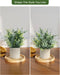 2 Pcs Small Fake Plants Eucalyptus, Artificial Plants Indoor for Shelf, Potted Eucalyptus Plants for Home/Bathroom/Potte
