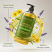 Arnica Sore Muscle Massage Oil for Massage Therapy - 8 Fl Oz