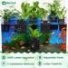 2026 Latest Upgraded Aquarium Plant Holder Adjustable Height with Extendable Hook and Suction Cup for Fish Tank Aquaponic Plant Cultivation and Aquascape Accessories Decorations (2 Pack)