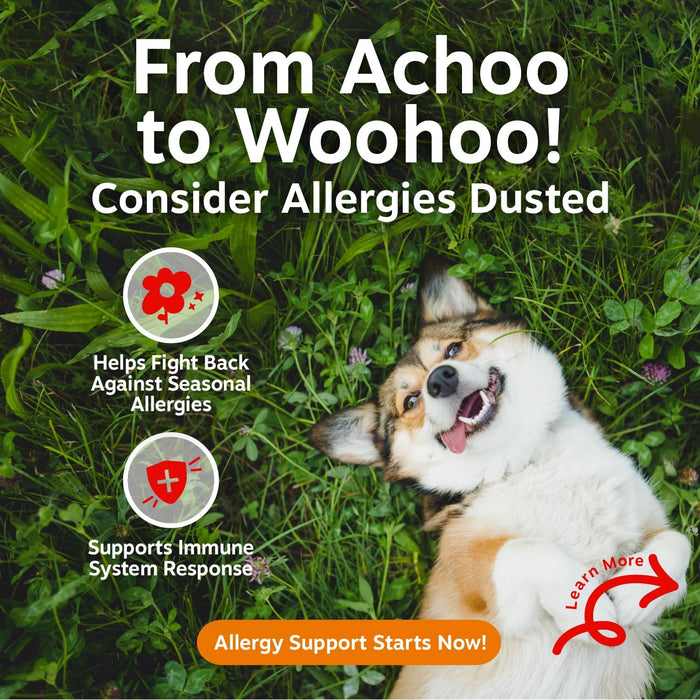 Dog Allergy Chews - Dog Allergy Relief, Lamb, 90 Ct