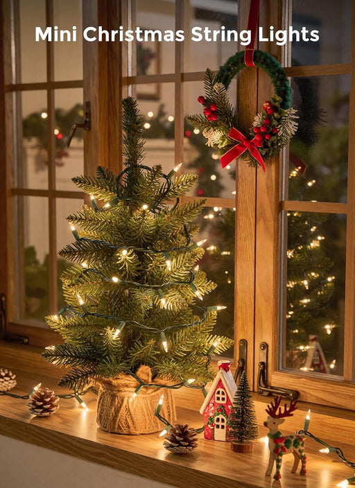 LED Christmas Lights, 20FT 100 Count Christmas String Lights