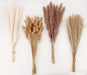Dried Pampas Grass Decor, 100 Stems Pampas Grass Contains Bunny Tails Dried Flowers, Reed Grass Bouquet for Wedding Boho