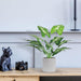 2 Pack 16" Indoor Fake Plants for Desk Shelf Bathroom Decor