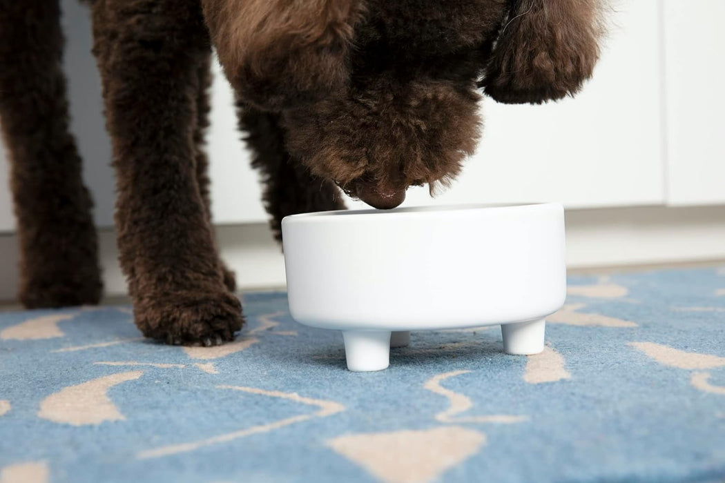 Uplift Ceramic Dog Bowl for Small Medium and Large Breeds - Heavyweight and Durable Pet Food and Water Dish Crock, Dishw