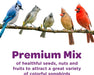 Nut & Fruit Wild Bird Seed, 5 lb