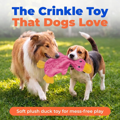 Interactive Squeaky Dog Toy - Crinkle Duck, Pink