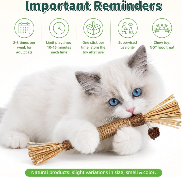 Silvervine Sticks Cat Chew Toys for Indoor Cats Dental Care Teeth Cleaning, Natural Kitten & Cat Teething Toys for Health, Cat Chew Stick Suitable for All Breeds of Aggressive Chewers Cat