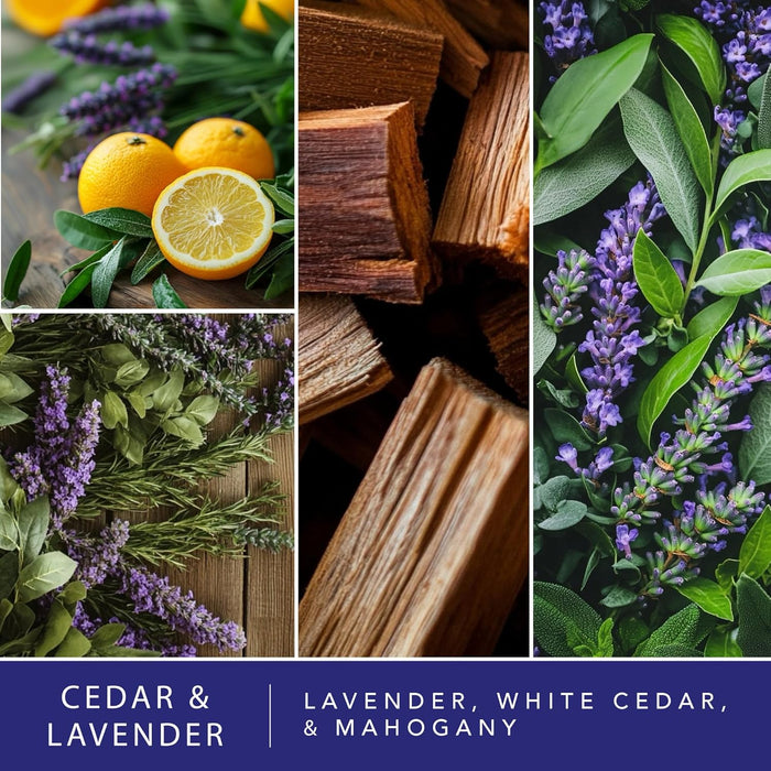 Cedar & Lavender Scented Wax Melts 10oz (24 Cubes)