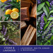 Cedar & Lavender Scented Wax Melts 10oz (24 Cubes)