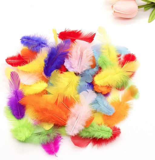 800Pcs Colorful Craft Rooster Feathers 3-5-inch Bulk Feathers for Crafting Kindergarten DIY Crafts, Wedding, Family Party Decorations, Dream Catcher Supplies, Natural Feathers