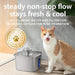 Innovation Award Winner Stainless Steel Cat Water Fountain, 108oz, C1