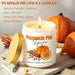 Fall Candles, Pumpkin Cinnamon Spice Candles, Fall Scented Candle Decorations for Home Gifts for Women Pumpkin Pie Spice