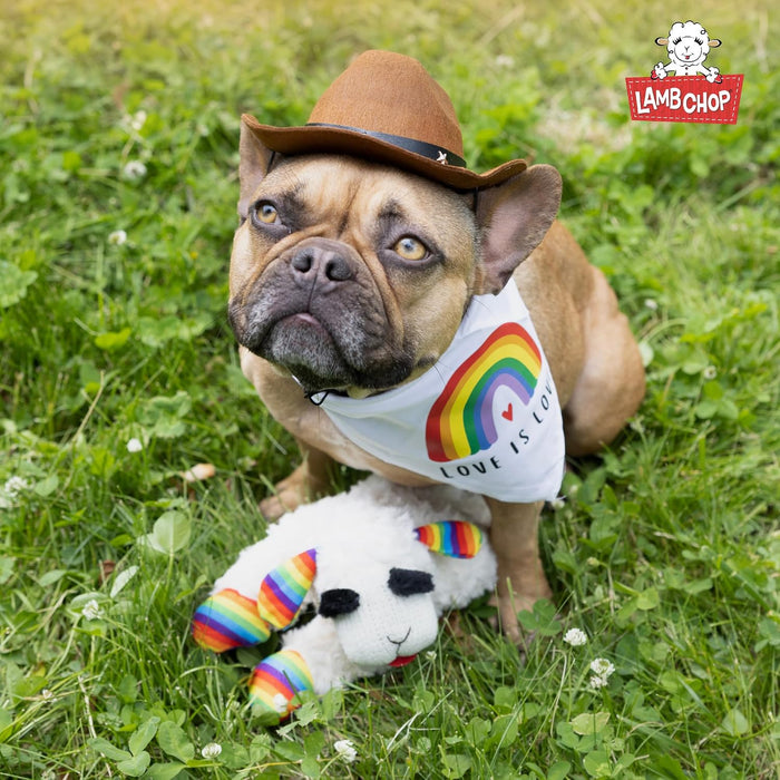 Lamb Chop Dog Plush Toy with Birthday Hat - Squeaky Dog Toy