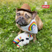 Lamb Chop Dog Plush Toy with Birthday Hat - Squeaky Dog Toy