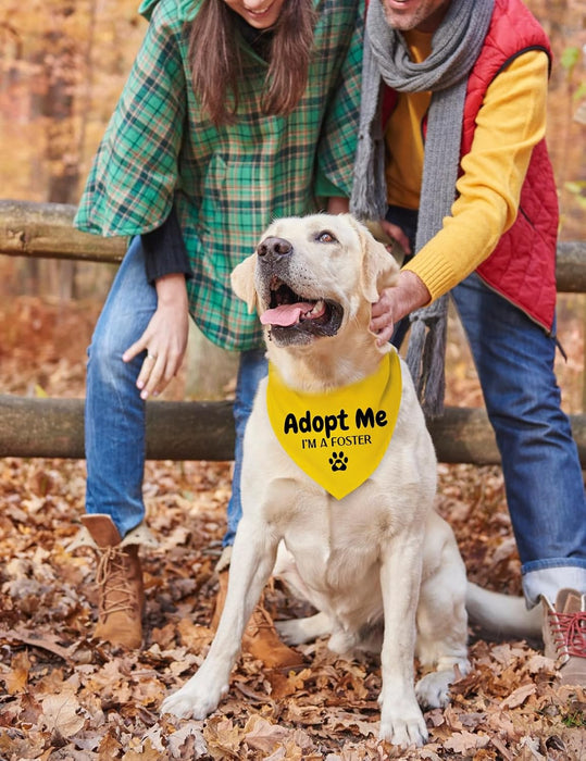Adopt Me Foster Dog Bandana Scarf, Funny Adopt Me Bandanas for Dogs