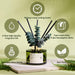 Reed Diffuser Set with 6.76 fl oz Forest Mist Scent Essential Oils and 3 Leaves & 8 Diffuser Sticks,Bathroom Shelf Decor & Air Freshener, House Bedroom Office Decor & Gifts