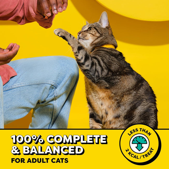 Classic Crunchy and Soft Cat Treats, Tasty Chicken, 30 oz