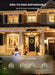 LED Christmas Lights Indoor Outdoor, 33FT 100 Count Mini String Lights