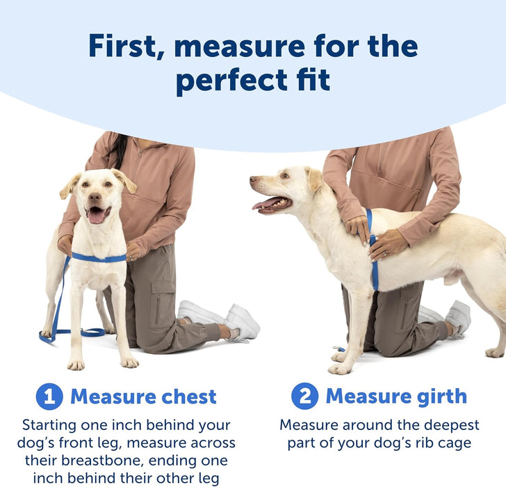 Easy Walk Harness, No Pull Dog Harness, Teal, Medium
