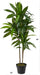 48 in Artificial Dracaena Real Touch Plant with Pot