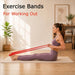 Resistance Bands for Working Out, 5-Level Pull Up Assistance Bands Set