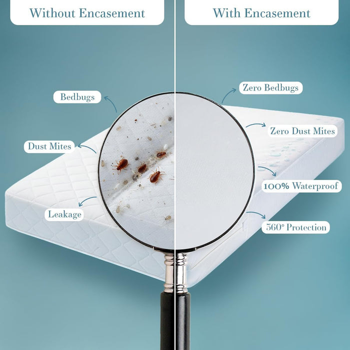 Waterproof Mattress Protector Queen Size, Zippered Mattress Encasement Bed Bug and Dust Mite Proof, Absorbent Six-Sided Mattress Cover