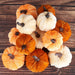 Pumpkin Decor 12pcs Artificial Velvet Fall Thanksgiving Decoration