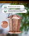 Solar Bird Feeders for Outdoors Hanging - Premium Grade Metal Bird Feeder, Chew-Proof, Weather and Water Resistant Wild 