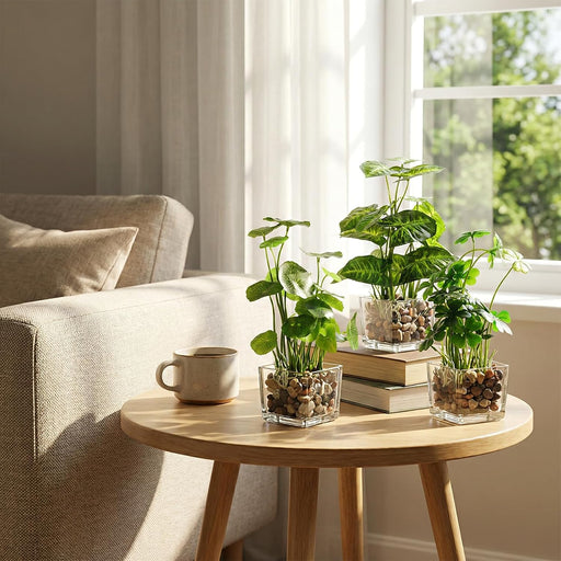Set of 3 Small Assorted Artificial Plants in Clear Glass Pot