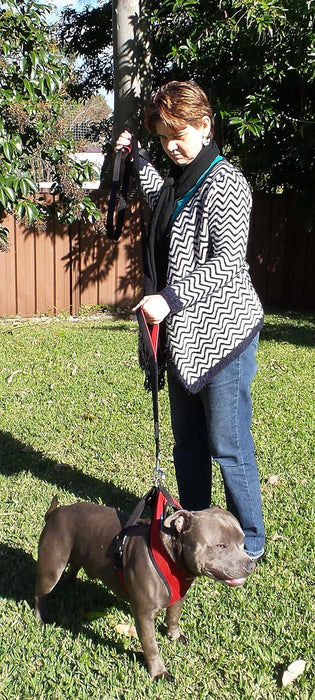 6 ft Reflective Dual-Handle Dog Leash — Black