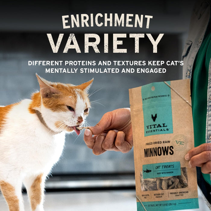 Freeze Dried Raw Chicken Hearts Cat Treats, 0.8 oz Bag
