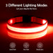 LED Dog Collar, Light Up Dog Collar Adjustable USB Rechargeable Super Bright Safety Light Glowing Collars for Dogs(Medium,Red)